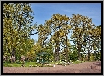 Park, Aleksandrowski, Altana, Chochoły