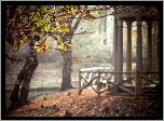 Altana, Park, Drzewa