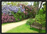 Park, Ławeczka