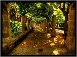 Park, Akejka, Ławeczka, Kolumny