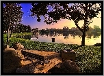 Park, Drzewa, Kamienie, Ławeczka, Woda