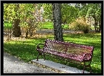 Park, Ławka