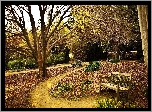 Park, Ławka
