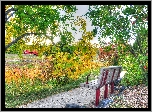 Park, Alejka, Ławka, Drzewa