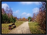 Park, Ścieżka, Ławka, Drzewa