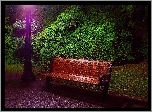 Park, Krzewy, Ławka, Lampa