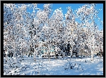 Park, Alejki, Ławki, Zima