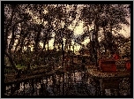 Park, Drzewa, Ławki, Woda