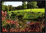 Park, Ogród, Sadzawka, Ławki, Kwiaty