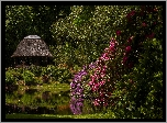 Park, Altana, Azalia, Staw