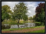 Park, Staw, Fontanna, Buxton, Anglia