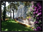 Park, Skała, Kwiaty, Spacerowicze, Capri, Włochy