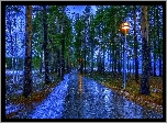 Park, Drzewa, Chodnik, Lampy
