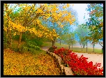 Park, Drzewa, Krzewy, Mgła, Ścieżka, Jesień