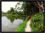 Park, Rzeka, Ścieżka, Spacerowa