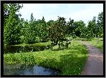 Park, Aleja, Drzewa, Staw