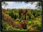 Park, Altana, Kolorowe, Drzewa, Krzewy
