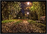 Park, Wieczorem, Ławka, Drzewa, Lampy