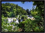 Chorwacja, Park Narodowy Krka, Wodospad, Kaskada, Las, Drzewa