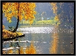 Park, Woda, Kaczki, Drzewa, Jesień