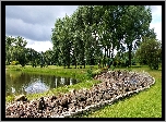 Park, Jeziorko, Kamienie, Drzewa, Ławki