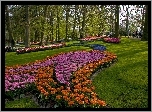 Park, Kwiaty, Drzewa, Trawniki
