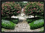 Park, Żywopłoty, Kwitnące, Drzewa, Posążek