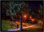 Park, Noc, Latarnie, Drzewa, Ławki