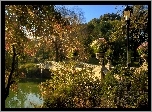 Park, Most, Drzewa, Jesień