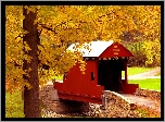Park, Rzeka, Mostek, Alejki, Drzewa, Jesień