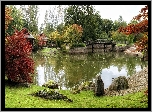 Park, Rzeczka, Mostek, Kolorowe, Drzewa, Jesień