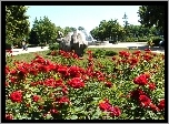 Park, Róże, Drzewa, Fontanna