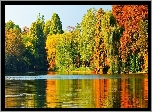 Park, Staw, Drzewa, Jesień