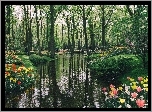 Park, Rzeka, Tulipany, Drzewa, Ludzie