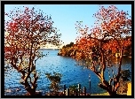 Park, Woda, Drzewa, Australia