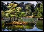 Park, Jezioro, Wysepki, Drzewa, Odbicie