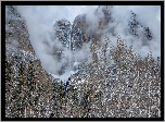 Park Narodowy Yosemite, Kalifornia, Stany Zjednoczone, Drzewa, Góry, Mgła