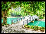 Wietnam, Park, Mostek, Rzeka, Prowincja Ninh Binh,  Drzewo