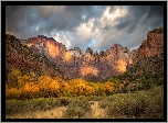 Park Narodowy Zion, Góry, Las, Drzewa, Skały, Jesień, Chmury, Stan Utah, Stany Zjednoczone