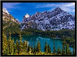 Góry, Las, Jezioro O Hara, Park Narodowy Yoho, Prowincja Kolumbia Brytyjska, Kanada