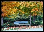Jesień, Park, Ławeczka
