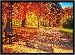 Jesień, Park, Ławka
