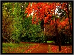 Jesień, Park, Ścieżka