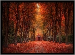 Park, Aleja, Drzewa, Jesień, Liście