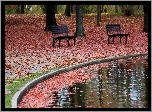 Jesień, Park, Ławki, Liście, Zbiornik, Wodny, Drzewa