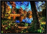 Park, Jezioro, Jesień, Kaczki