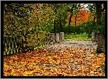 Park, Liście, Jesień, Mostek