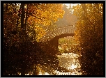 Jesień, Park, Mostek