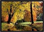Jesień, Park, Rzeczka