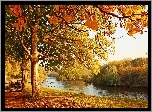Jesień, Park, Rzeka